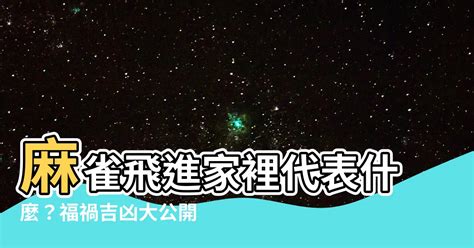 麻雀入屋|【麻雀飛進家裏代表什麼】麻雀飛進家裡代表什麼？福禍吉凶大公。